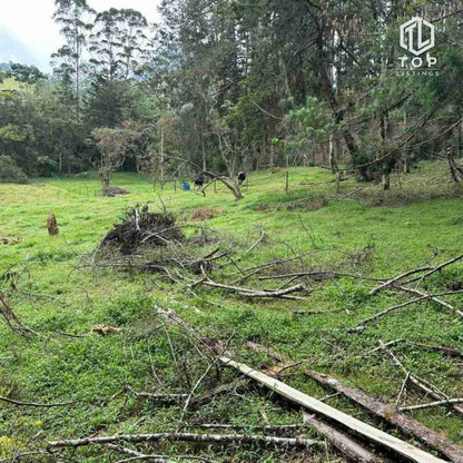 Huge lote for sale (In la Ceja - Close to Medellín)