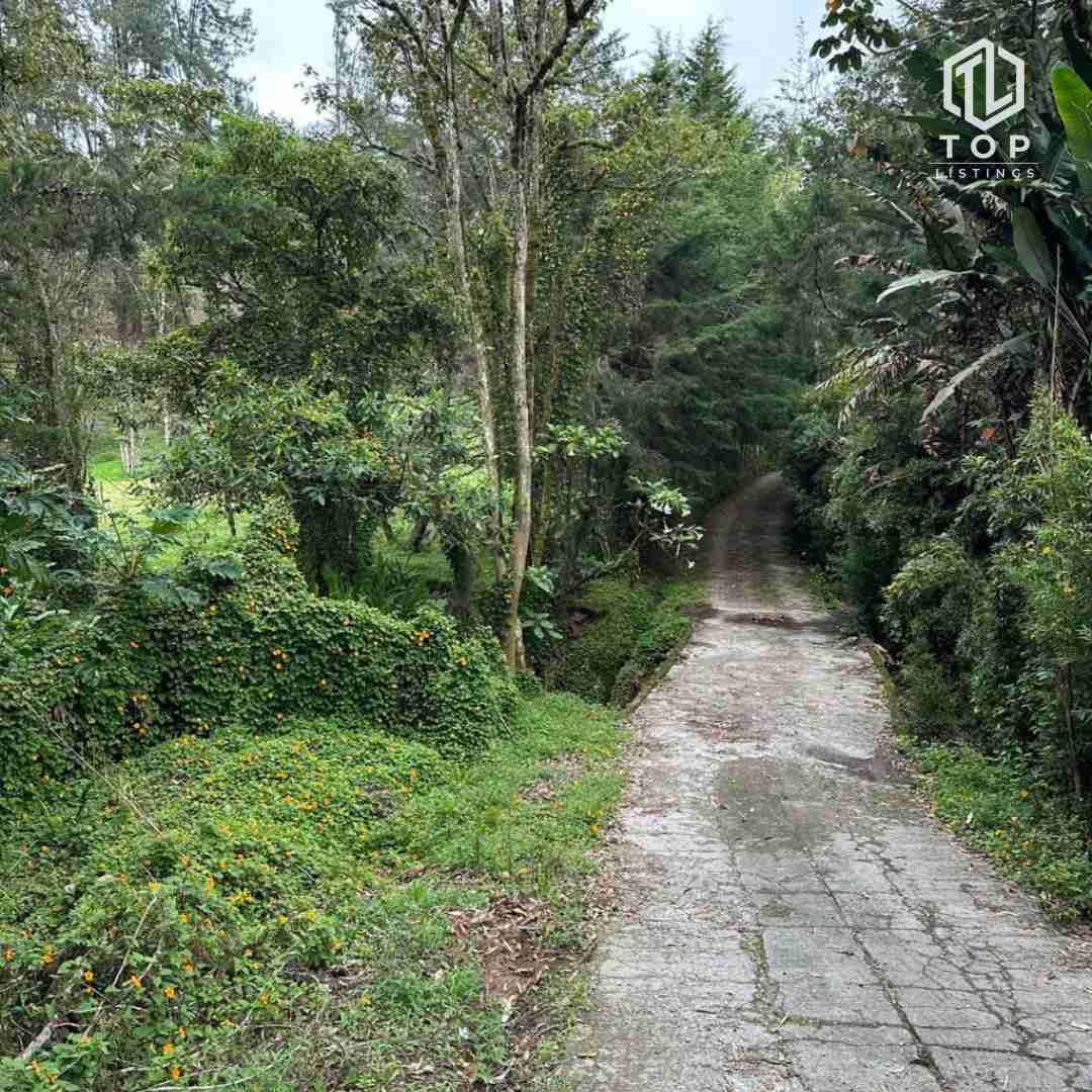 Huge lote for sale (In la Ceja - Close to Medellín)