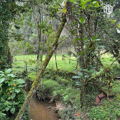 Huge lote for sale (In la Ceja - Close to Medellín)