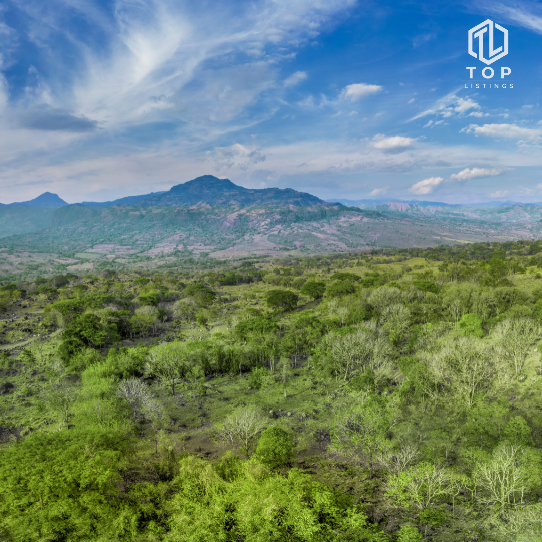 Haras Puente Iglesias – Discover an unparalleled natural setting for your dream home.