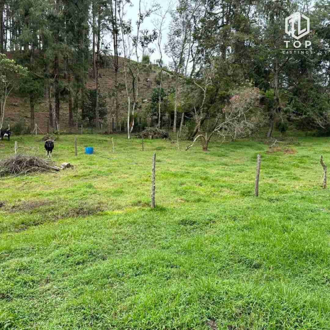 Huge lote for sale (In la Ceja - Close to Medellín)