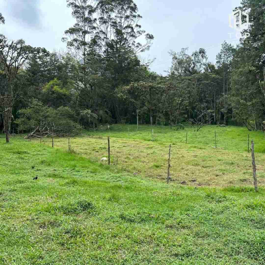 Huge lote for sale (In la Ceja - Close to Medellín)