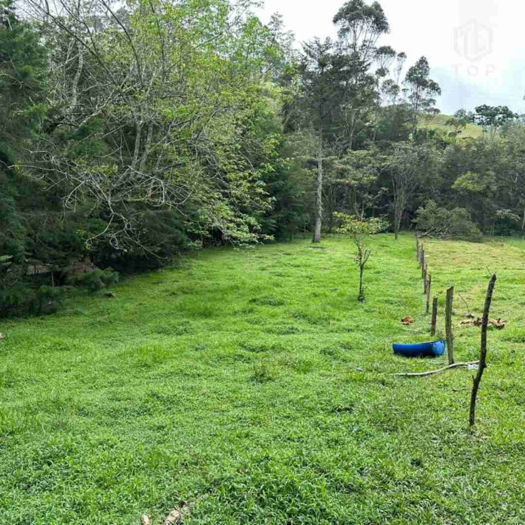 Huge lote for sale (In la Ceja - Close to Medellín)